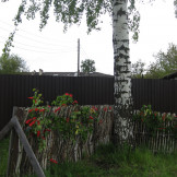berezka_04_06_17_05