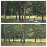 chistiy_bereg_05