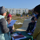 dne_6