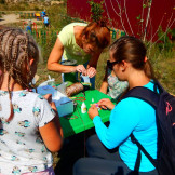 molodyozhka_fest_18_08_18_017