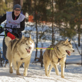 zimnaya_skazka_2014_038