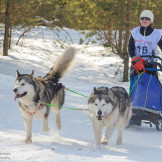 zimnaya_skazka_2014_044