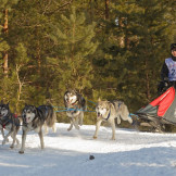zimnaya_skazka_2014_052