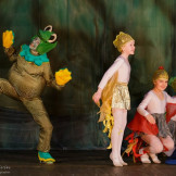 froggy_26_12_14_006