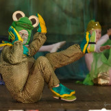 froggy_26_12_14_009