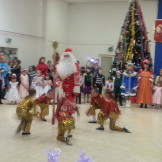 socialnaya_yolka_30_12_14_001
