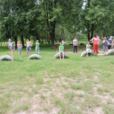 antinark_04_06_15_002