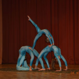 dpch_2016_029