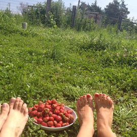 Клубничка Автор Инна Куракина
