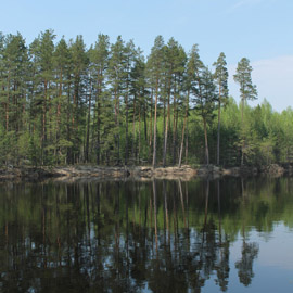 Автор Елена Лямина
