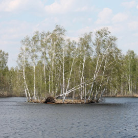 остров Честнов Сергей